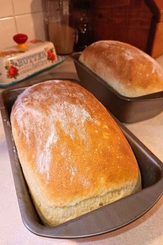 Easy No-Knead Bread Recipe 477693633_2108571189590321_7960958607755149383_n