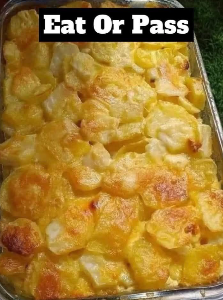 Best Scalloped Potatoes In my humble opinion, they are simply the best 😍 Capture d’écran 2025-06-01 164710