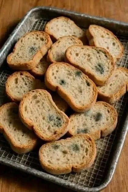 Golden Savory Stale Bread Bake 596803342_1365659315345386_8134247982206137033_n