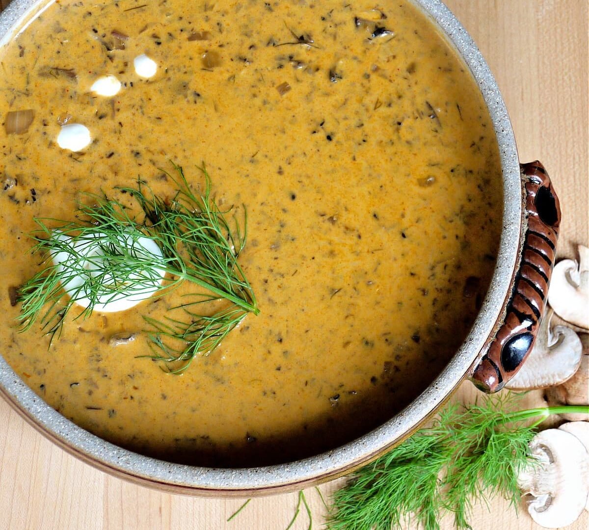 hungarian-mushroom-soup-f